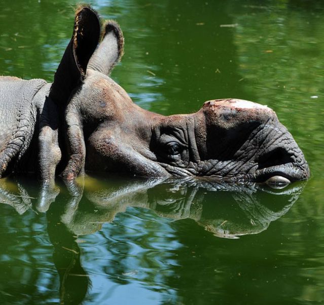 Daily picdump [WEEKEND EDITION]