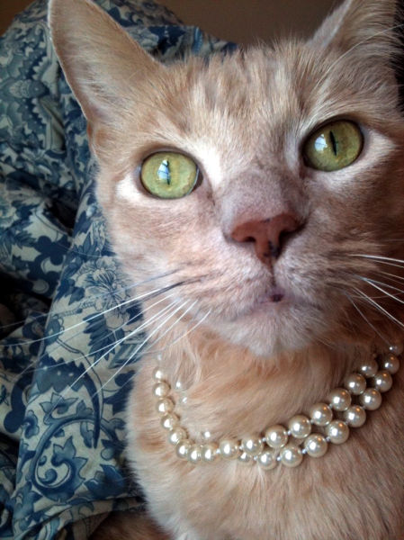 Daily Picdump