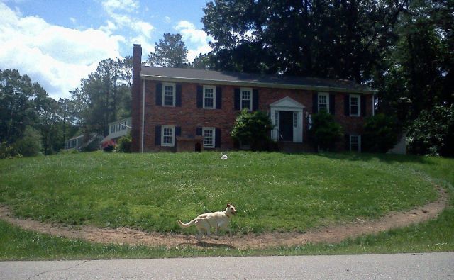 Daily Picdump