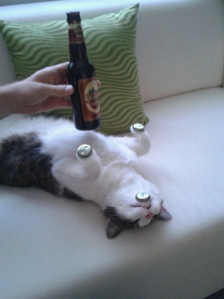 Daily Picdump