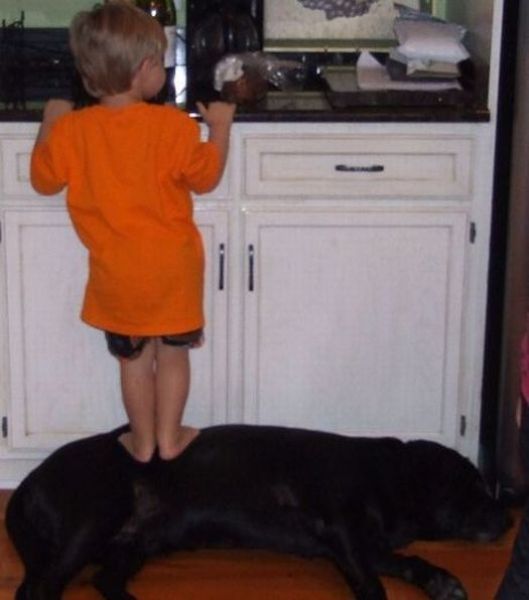 Morning Picdump