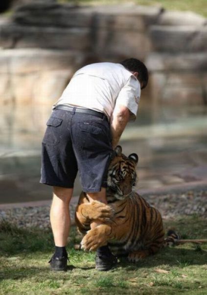 Morning Picdump