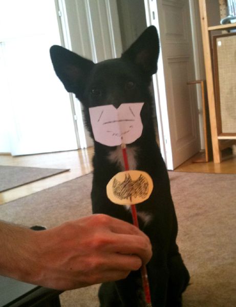 Morning Picdump
