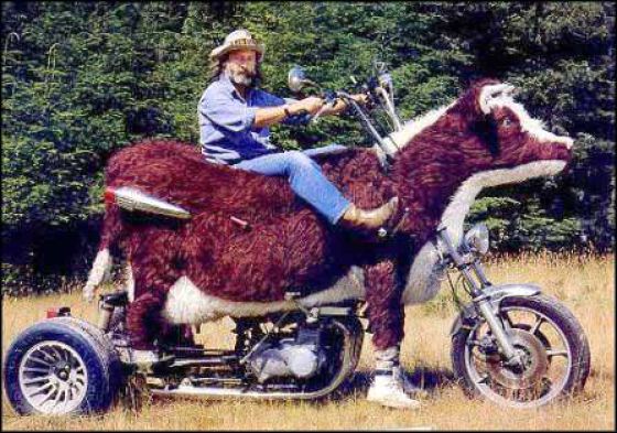 Classic Redneck Moves