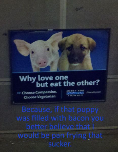 Daily Picdump