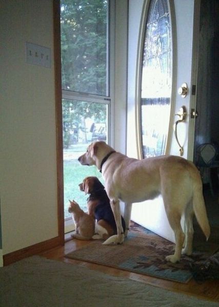 Morning Picdump