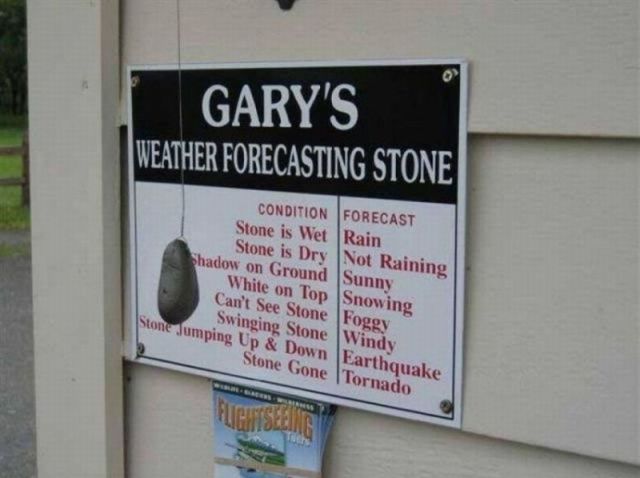 Morning Picdump