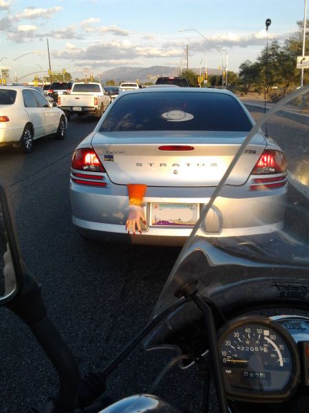 Morning Picdump