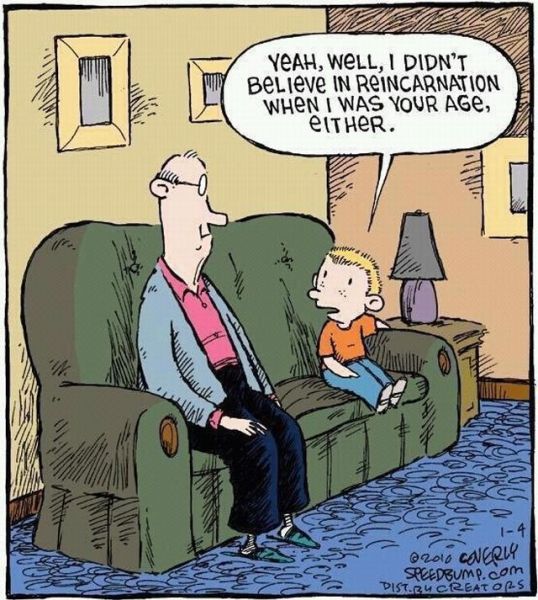 Morning Picdump
