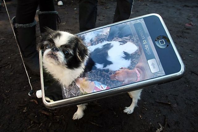 Morning Picdump