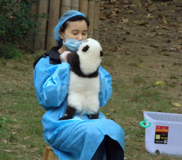 Morning Picdump