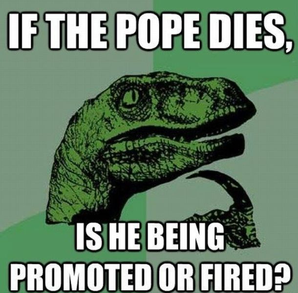 Morning Picdump