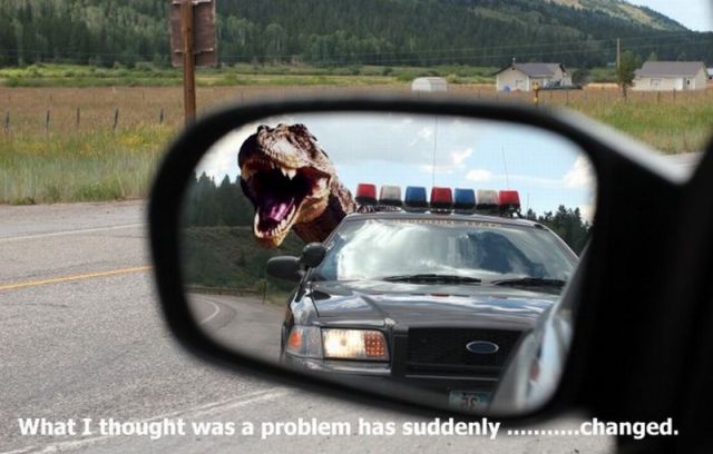 Morning Picdump