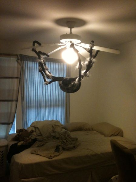Morning Picdump