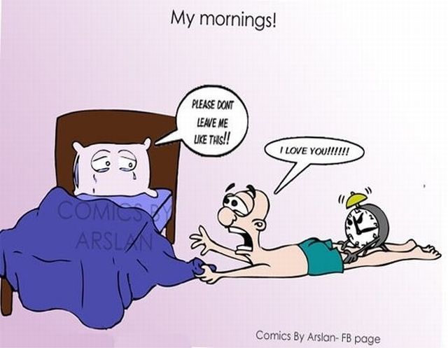 Morning Picdump