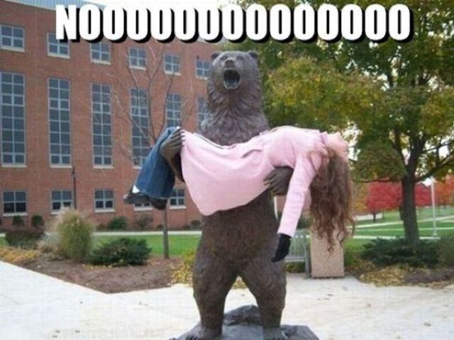 Morning Picdump