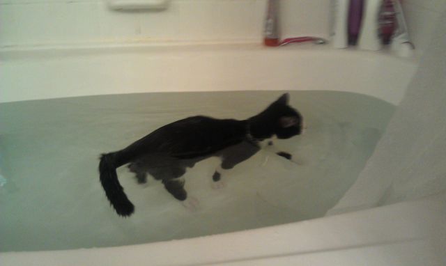 Morning Picdump