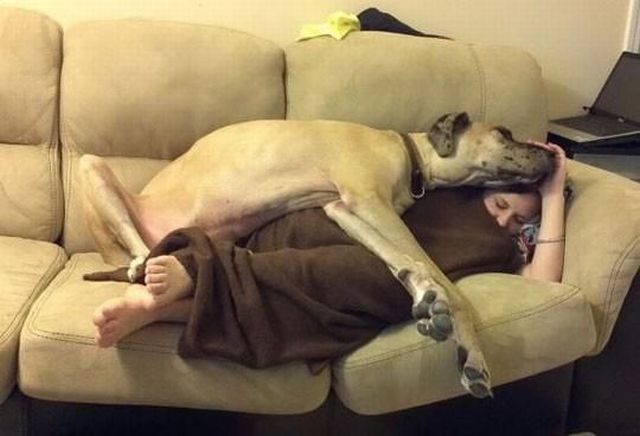 Morning Picdump