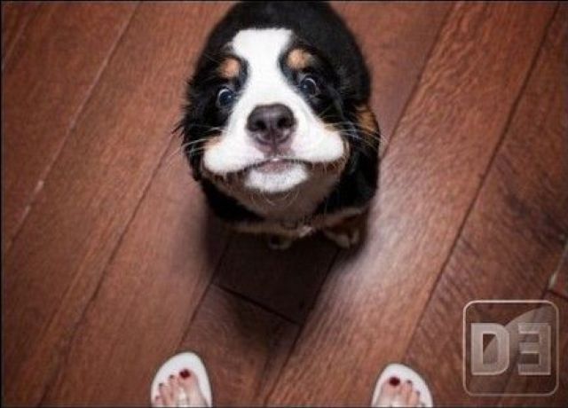 Morning Picdump