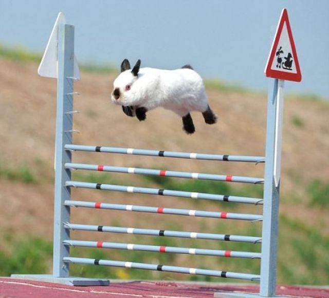 Morning Picdump