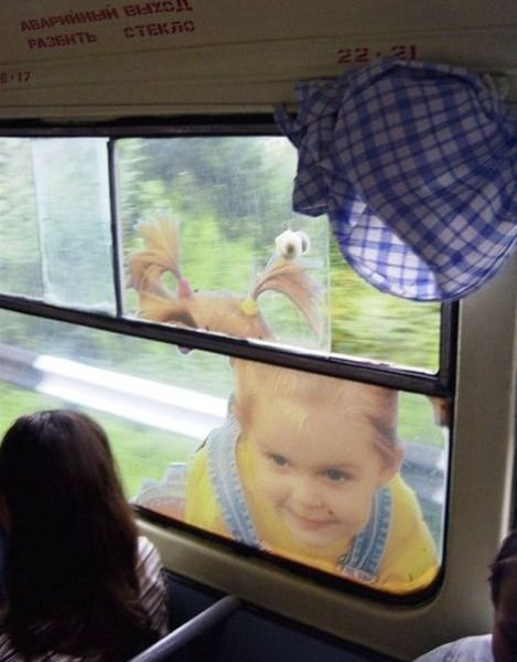 Morning Picdump