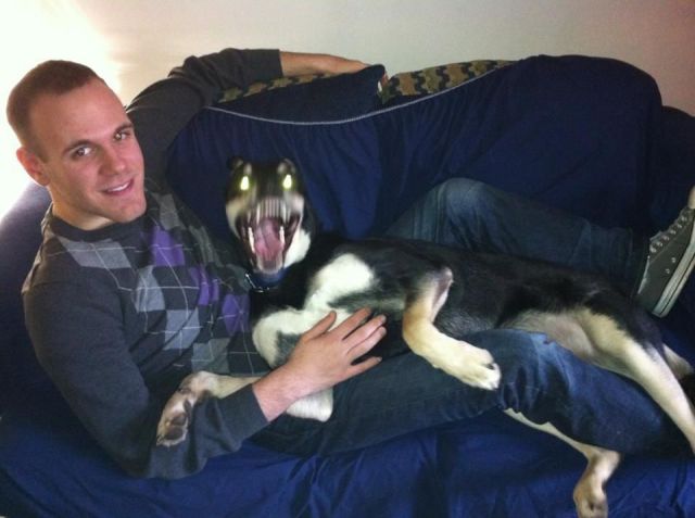Morning Picdump