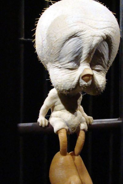 Morning Picdump