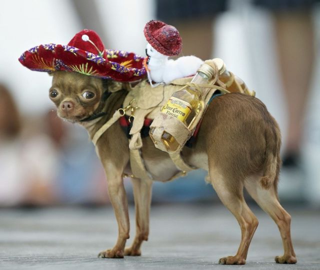 Daily picdump [WEEKEND EDITION]