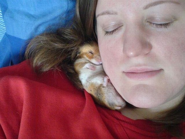 Daily Picdump