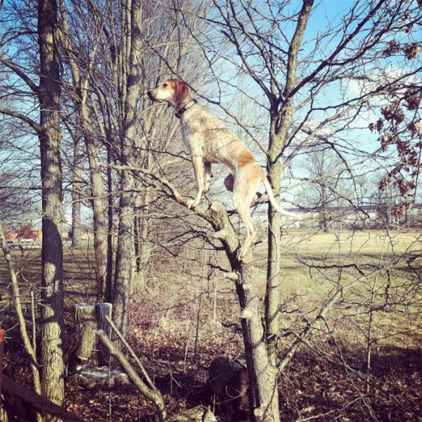 Daily Picdump