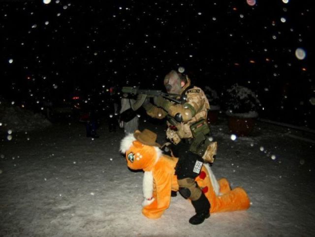 Daily Picdump