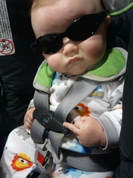 Daily Picdump