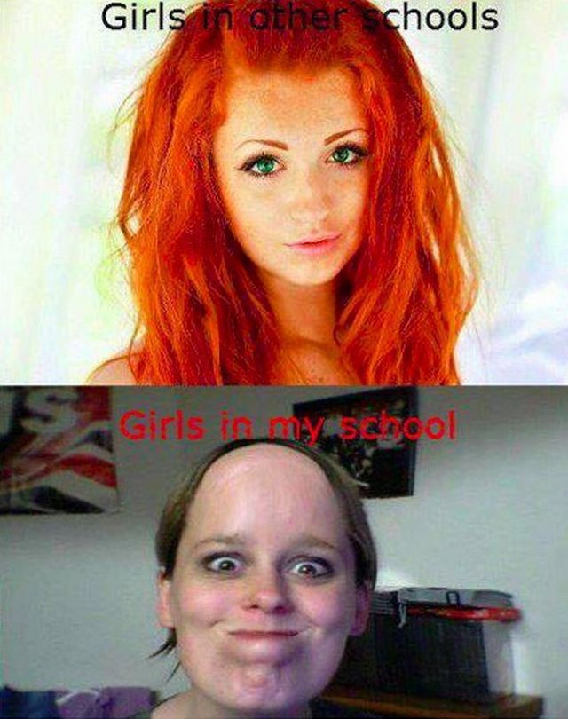 Daily Picdump