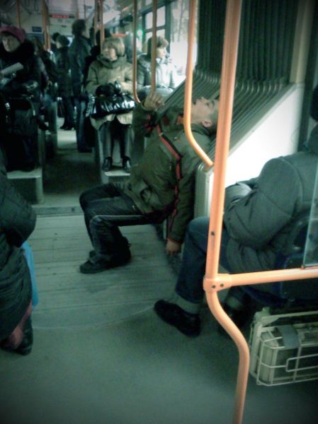 Daily Picdump