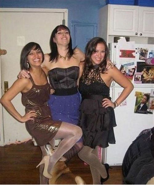 Daily Picdump
