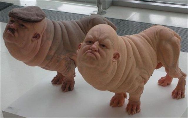 Daily Picdump