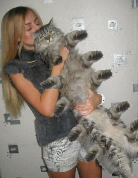 Daily Picdump