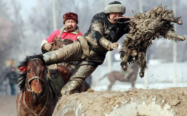Daily Picdump