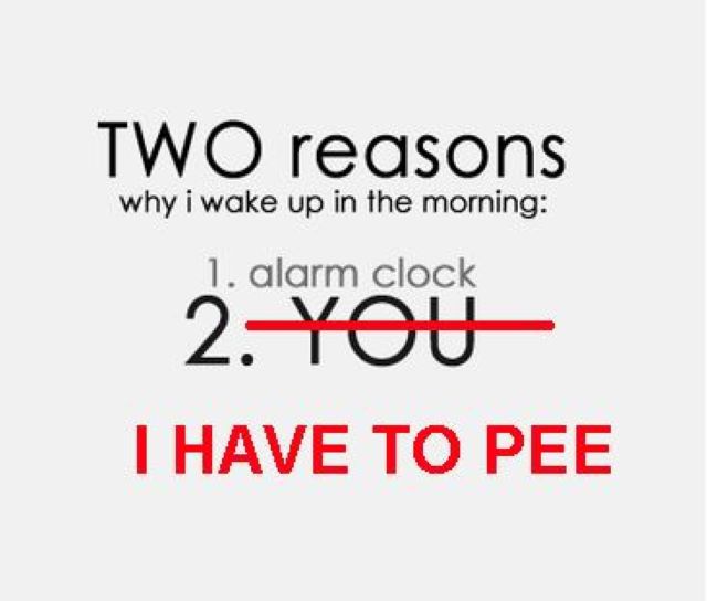 Morning Picdump