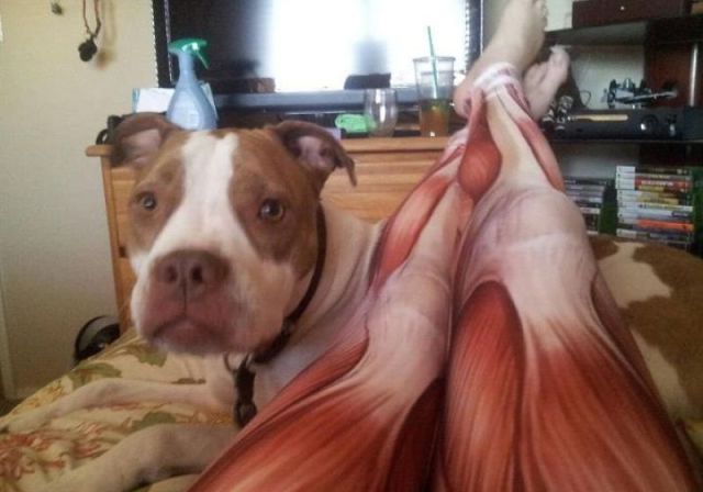 Morning Picdump