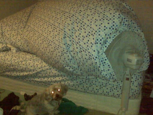 Morning Picdump