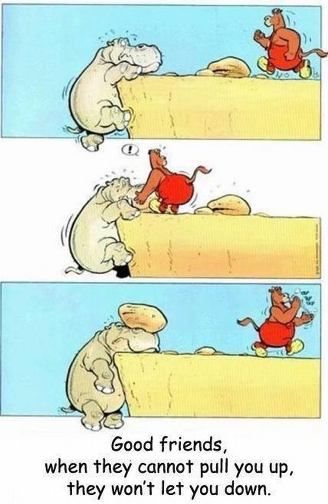 Morning Picdump