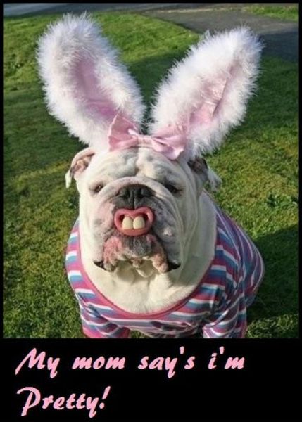 Morning Picdump