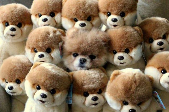 Morning Picdump