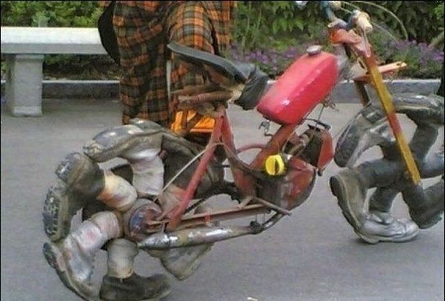 Morning Picdump