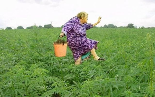 Morning Picdump