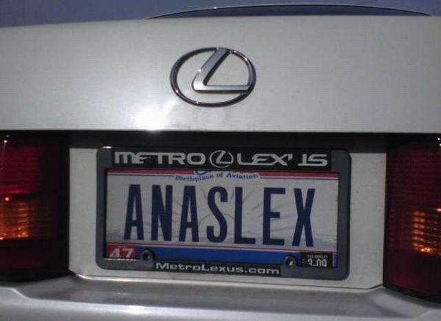 Morning Picdump