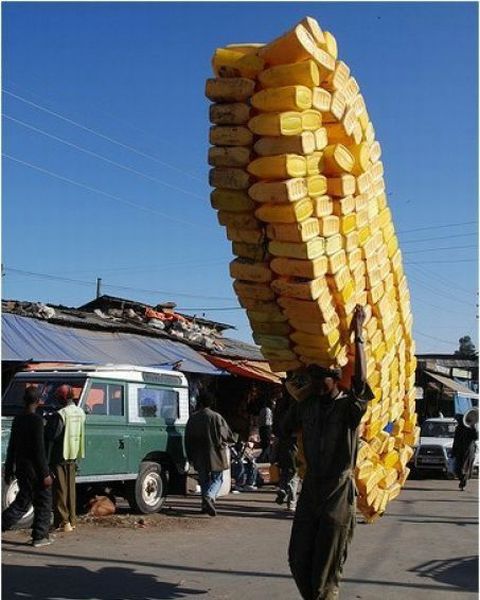 Morning Picdump