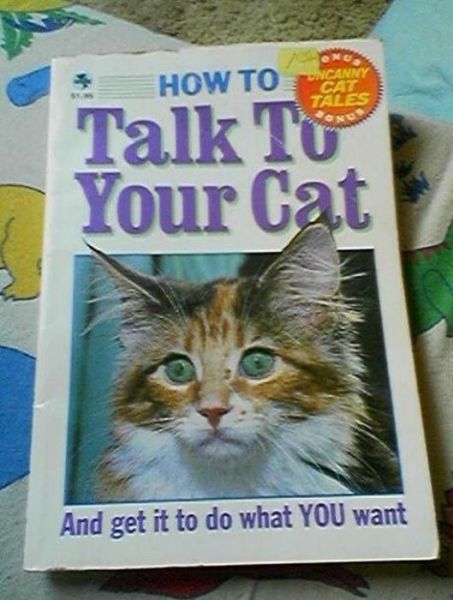 Morning Picdump