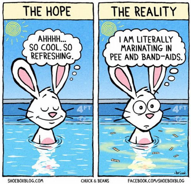 Morning Picdump